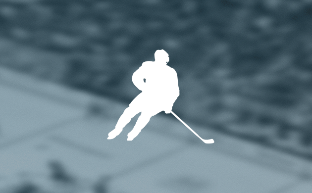 Ice Hockey Top Players 2013-2014
